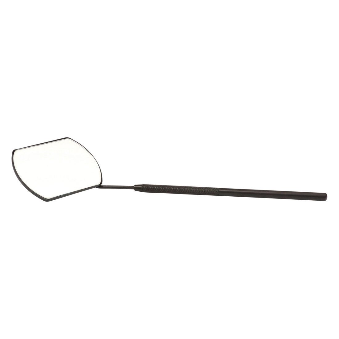 Large Lash Mirror